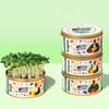 Grow It Yourself Kit - Basil, Cilantro, Fenugreek, Oregano Online
