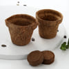 Gift Grow Your Own Stationery Kit