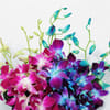 Shop Guiding Grace Orchid Bouquet for Teacher