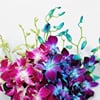 Shop Guiding Grace Orchid Bouquet for Teacher
