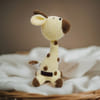 Handcrafted Crochet Baby Giraffe
