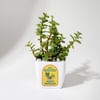 Happy Birthday Jade Plant With Pot Online