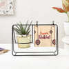 Gift Happy Rakhi Swinging Metal Planter