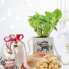 Shop Harmony & Happiness Diwali Hamper