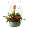 Harmony of colors Online