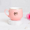Shop Haworthia Plant With Cup Planter