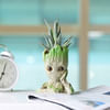Gift Haworthia Succulent in a Groot Planter