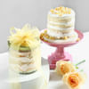 Buy Healthy Bliss Hamper