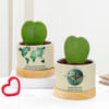 Heartfelt Valentine's Day Hoya Plants With Planters Online