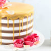 Shop Heavenly Drizzle Chocolate Cream Cake (1 Kg)