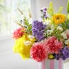Gift Her Garden of Paradise