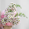 Shop Her Santini Garden