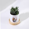 Shop Home Sweet Home - Haworthia Succulent With Personalized Pot