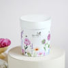 Shop Honeydew Mist