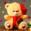 Huggable Yellow Teddy Soft Toy Online