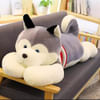Husky Dog Online