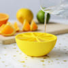 Gift Ice Cube Tray - Half Lemon - Single Piece