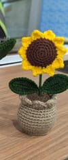 IGP Sunflower Crochet Flower Box