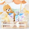 Shop IGP x Sebamed Welcome Baby Gift Hamper