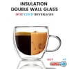 Gift Insulated Borosilicate Glass Tea Cups  Set Of 2