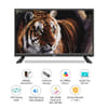 Gift Intex 24 inch HD TV LED 2419