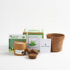 Gift Italian Basil Grow It Yourself Kit