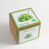 Buy Italian Basil Grow It Yourself Kit