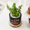 Gift Jade Plant with Clay Planter for Dad