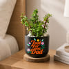 Jade Plant with Clay Planter for Dad