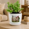 Gift Jade Plant with Plate