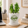 Buy Jade Plant with Self-Watering Planter for Daddy