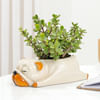 Jade Plant With Sleepy Pup Planter Online