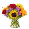 Joyful Affection Vase Arrangement Online