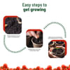 Shop Juicy Joy Cherry Tomato Grow Kit