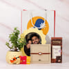 Shop Kundan Rakhi with Jade Plant & Chocolate Hamper