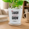 Shop Laugh Love Grow Money Plant For Friends