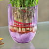 Lavender Glass Vase- 6 Inches Online