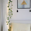 Shop Leaf LED Vine String Lights