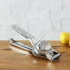 Lemon Squeezer