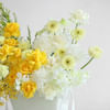 Shop Lemon Tart Blooms