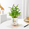 Gift Leo Zodiac 2 Layered Bamboo Planter