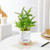 Shop Leo Zodiac 2 Layered Bamboo Planter