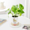Gift Leo Zodiac Money Planter