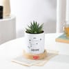 Gift Leo Zodiac Zebra Succulent Planter