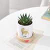 Buy Leo Zodiac Zebra Succulent Planter
