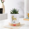 Shop Leo Zodiac Zebra Succulent Planter