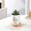 Leo Zodiac Zebra Succulent Planter
