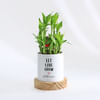 Let Love Grow - 2-Layer Bamboo Plant With Pot - Personalized Online