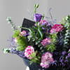 Gift Lilac Afterlight
