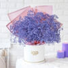 Buy Lilac Rhapsody